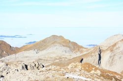 Mittagssonne auf dem Altmann